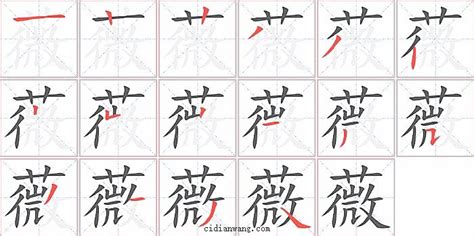 薇 五行|「薇康熙字典笔画」薇字五行属什么,薇字起名的寓意含义